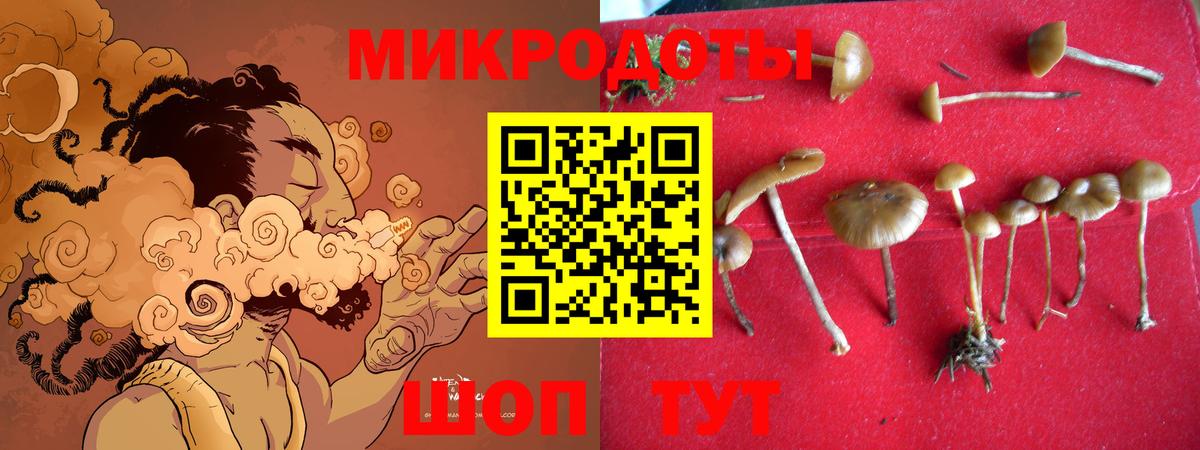 закладки  Галлюциногенные грибы Cubensis  Вход с VPN  Стрежевой 