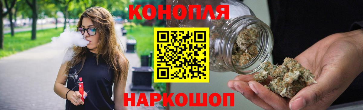 Бошки Шишки план Стрежевой